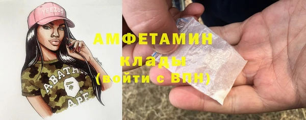 хмурый Аркадак