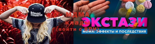 хмурый Аркадак