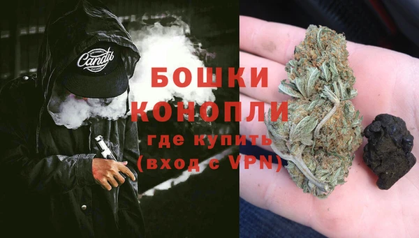 эйфоретик Арсеньев