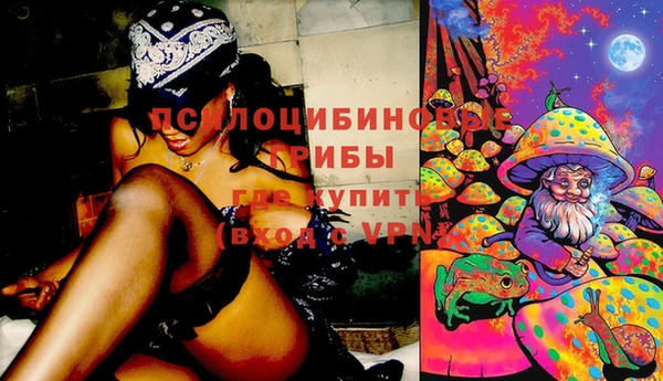 эйфоретик Арсеньев