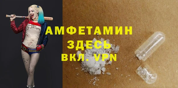 хмурый Аркадак