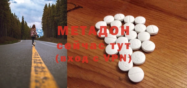 хмурый Аркадак