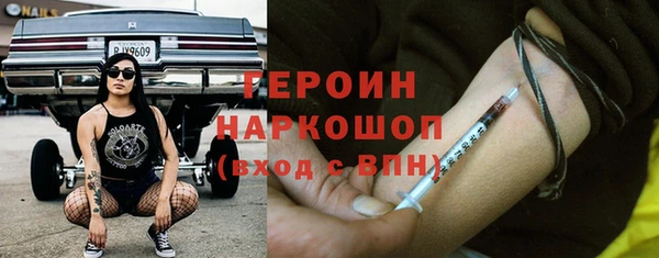 хмурый Аркадак